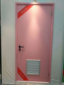 醫(yī)用鋼質(zhì)平開門廠 潮州醫(yī)用鋼質(zhì)平開門 百事特門業(yè)