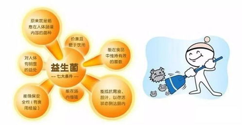 益生菌與益生元 協同增效的健康“黃金搭檔”